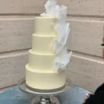 White Cake with veil