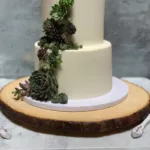 Nature simple white cake