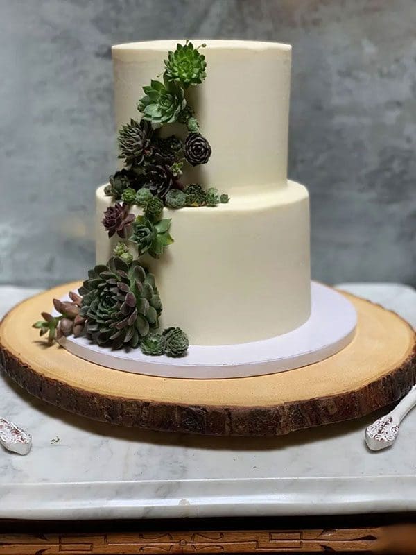 Nature crack in white cake